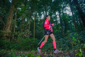 BIB: 
                            <button type="button" onclick="openModal(15909504)" class="btn btn-primary btn-sm float-right btn-popup" data-toggle="modal" data-target=".modal-high-quality">
                        <i class="fas fa-shopping-cart"></i> Add to Cart
                    </button>
                                            <button type="button" onclick="isThisMe(15909504, true)" class="btn btn-success btn-sm float-right btn-popup btn-isme hidden" data-toggle="tooltip" data-placement="bottom" title="นี่คือรูปของคุณใช่ไหม คลิกที่นี่เพื่อเอาเข้าอัลบั้ม">
                        <i class="fas fa-plus"></i> Add to album
                    </button>
                    <button type="button" onclick="isThisMe(15909504, false)" class="btn btn-warning btn-sm float-right btn-popup btn-isnotme hidden">
                        <i class="fas fa-ban"></i> Remove from album
                    </button>